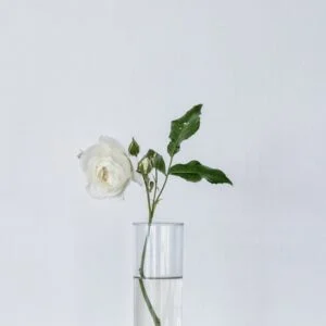 Glass Vase